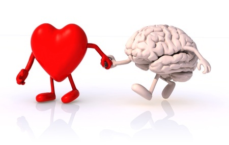 15817143 - heart and brain that walk hand in hand, concept of health of walking
