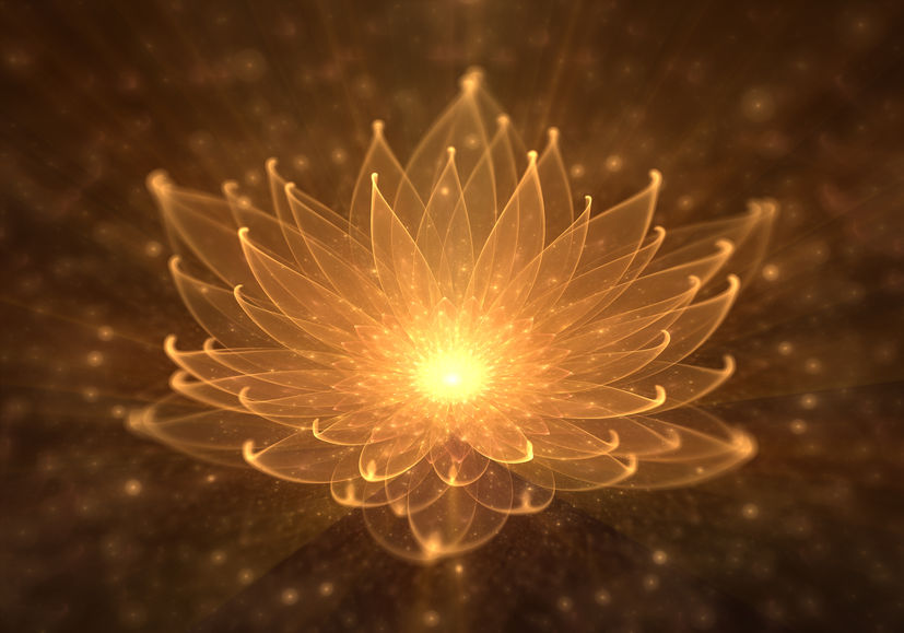Water Lily, Radiant Orange Lotus with Rays of Light